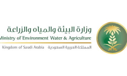 Saudi Arabia Expands Beekeeping Sector With Seven New Breeding Stations