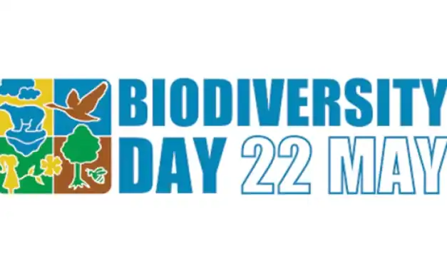 Saudi Biodiversity Protection Highlighted on Global Day