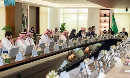 Saudi Capital Market Development Discussed with OECD