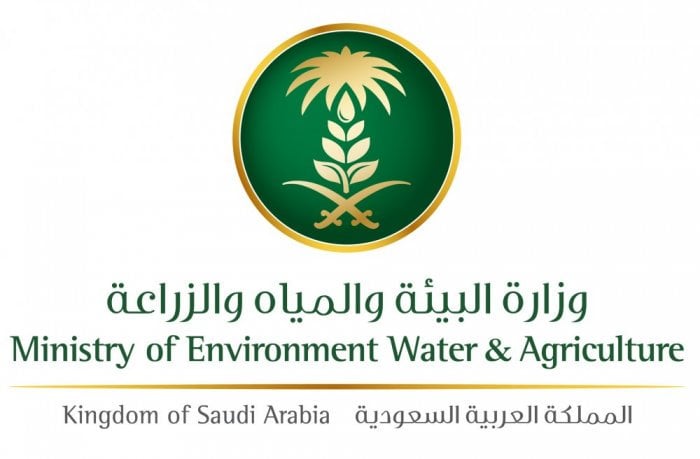 Bee Initiative Plants 800 Trees in Al-Jouf