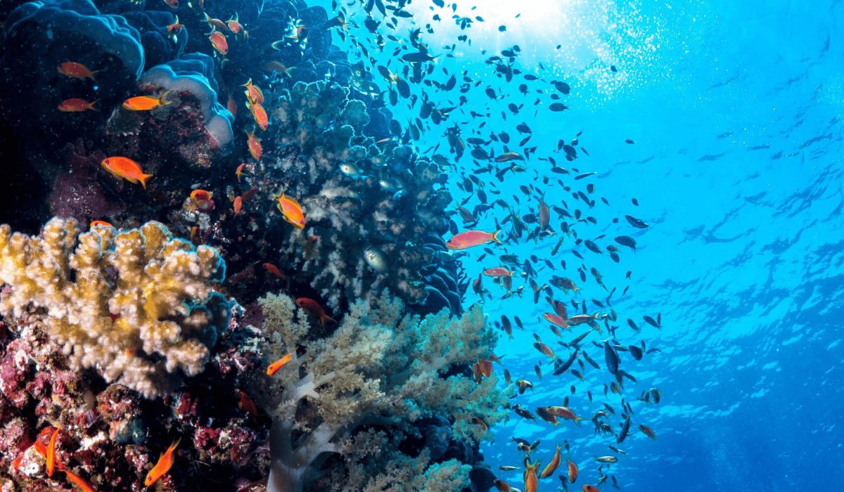 regenerative tourism investment