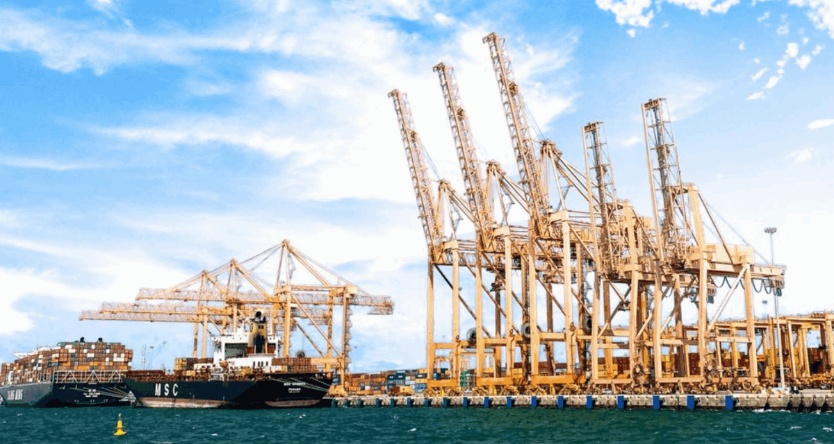 MSC Chinook Clanga Saudi service strengthens Dammam and Jubail ports