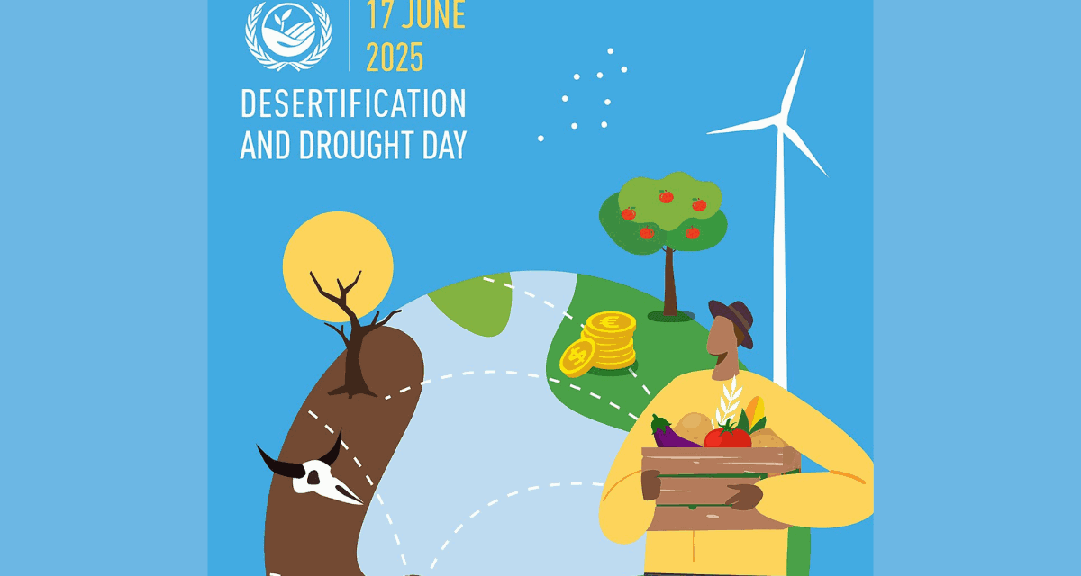 Desertification and Drought Day: Saudi Marks 313,000 Hectares Restored