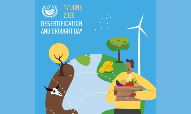 Desertification and Drought Day: Saudi Marks 313,000 Hectares Restored