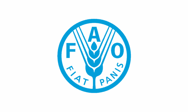 FAO Reaffirms Support for Saudi Land Restoration on Desertification Day