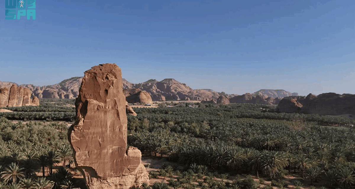 AlUla Palm Groves Highlight Agricultural Strength