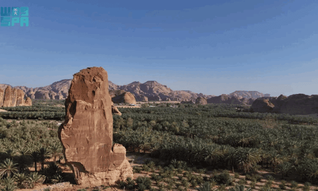 AlUla Palm Groves Highlight Agricultural Strength