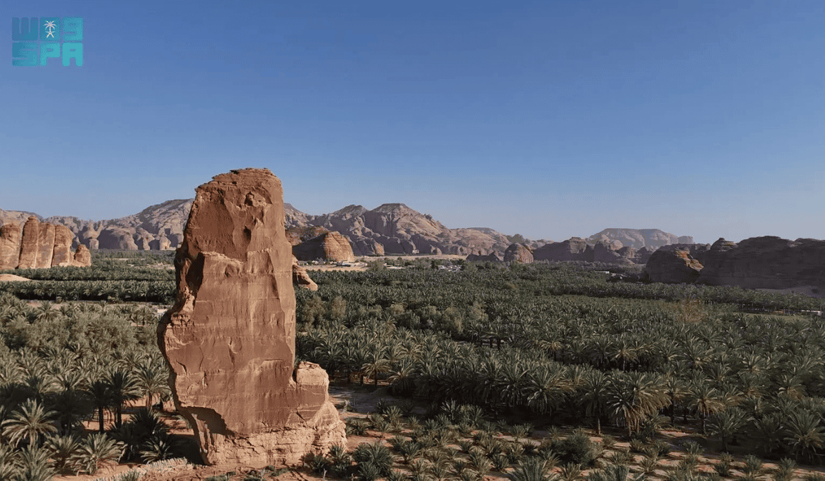 AlUla palm groves