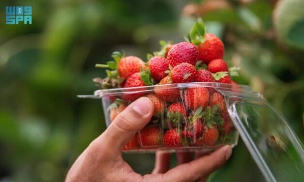Al Ammariyah Strawberry Farms: Eco-Tourism Gem Near Riyadh