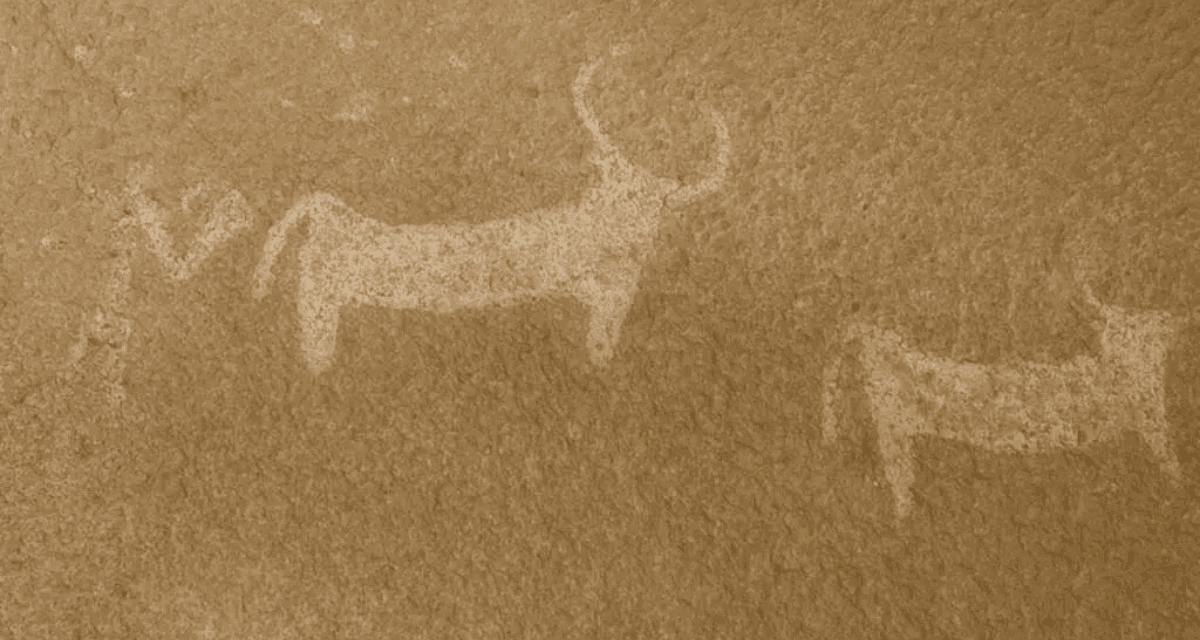 Al-Ardiyat’s Ancient Inscriptions Reveal Arabia’s Rich History