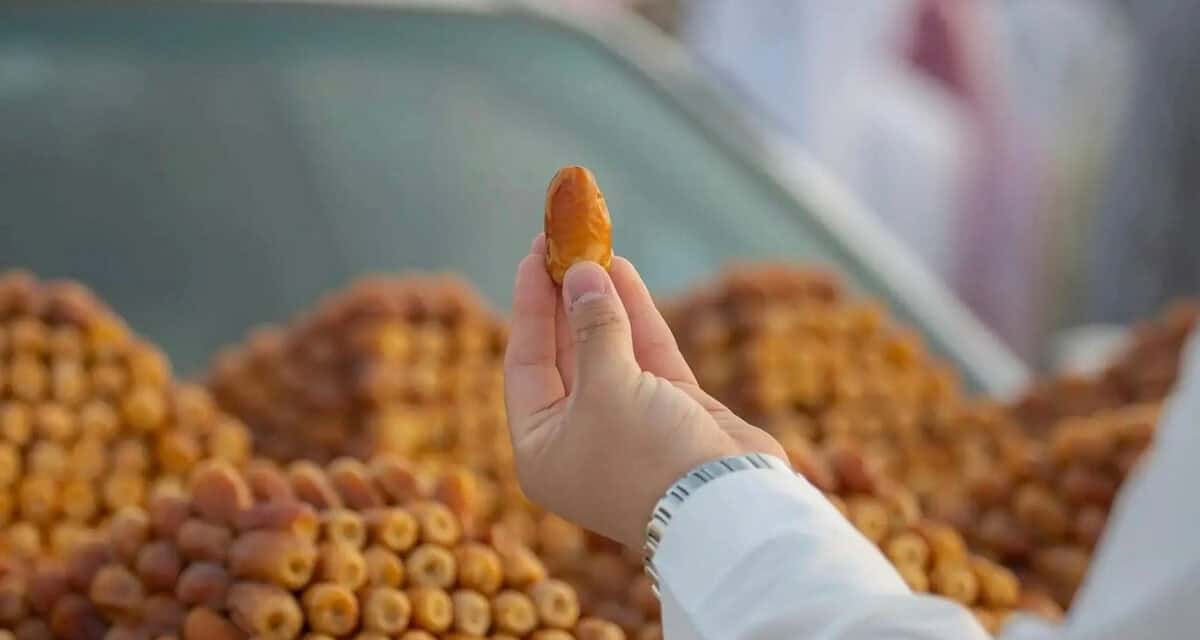 Qassim’s Early Date Harvest Begins, Boosting Saudi Exports