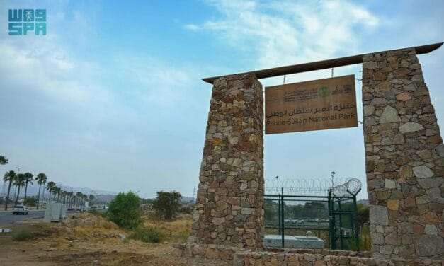Prince Sultan National Park in Abha: A Tourist Experience Blending Entertainment &hellip;